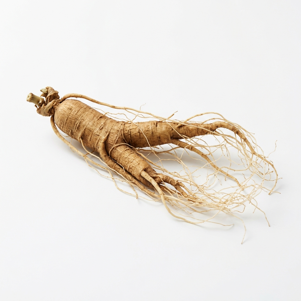 Ginseng Extract